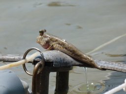image59
